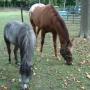 Annette Ward Photo 24