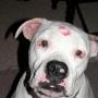 Paula Conklin Photo 21