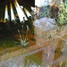 Robert Cavanagh Photo 11