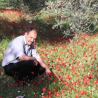 Abu Ahmed Photo 39