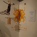Sarah Coleman Photo 46