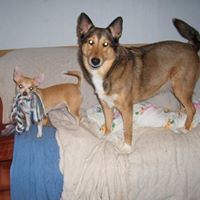 Mary Peeples Photo 8
