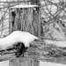 Bruce Mills Photo 14