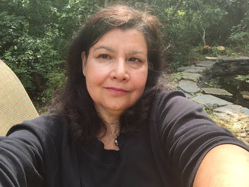 Lisa Ferraro Photo 34