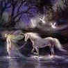 Sharon Archer Photo 22