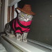 Jill Krueger Photo 18