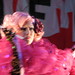 Heather Hacker Photo 37