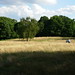 Angela Heath Photo 19
