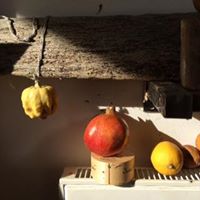 Susan Churchill Photo 17