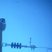 Clinton Hawks Photo 5