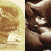 Elizabeth Adamson Photo 14