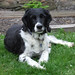 Millie Ross Photo 9