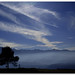 Peter Bush Photo 36