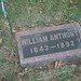 Nell Williams Photo 45