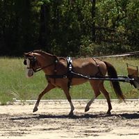 Cathy Rhoades Photo 14