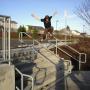 Chris Perdue Photo 7