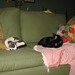 Jenny Simons Photo 27