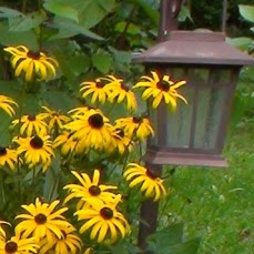 Karen Skinner Photo 22