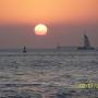 Debbie Faust Photo 25