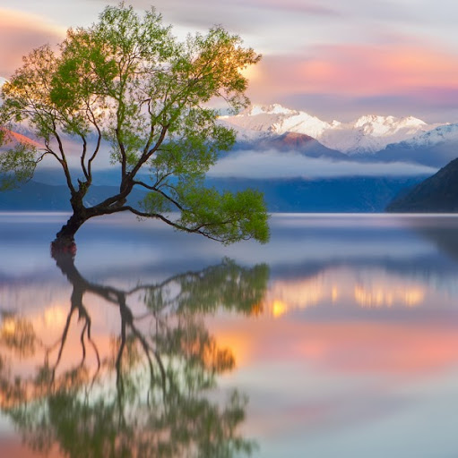 Andrew Dunne Photo 10