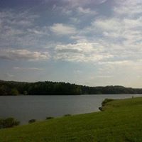 Michelle Holbrook Photo 9