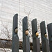 Bruce Garner Photo 39