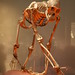Ellen Messina Photo 10