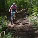 Jason Birch Photo 33