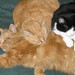 Christa Young Photo 12