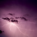Edgar Storm Photo 10