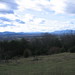 Linda Mcneil Photo 22