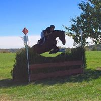 Stacey Driscoll Photo 8