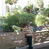 Christina Chang Photo 20