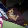 Becky Powers Photo 27