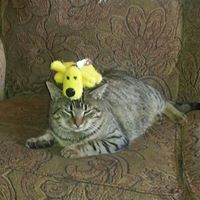 Angela Beeson Photo 8