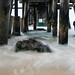 Catherine Warf Photo 7