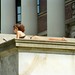 Chance Elkins Photo 8