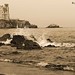 Sal Torre Photo 14