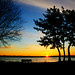 Mike Winters Photo 5