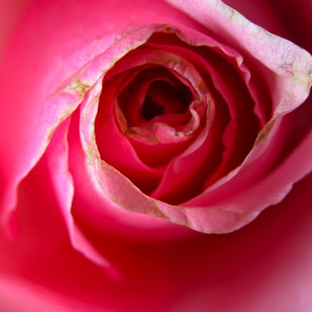 Joyce Palmer Photo 36