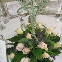 Deborah Flowers Photo 15
