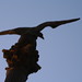Allan Estes Photo 2