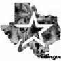 Cindy Albright Photo 17