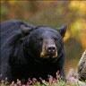 Paul Lockwood Photo 41
