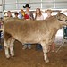 Connie Brannon Photo 18