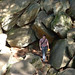 Scott Longley Photo 22
