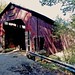 Lawrence Howe Photo 13