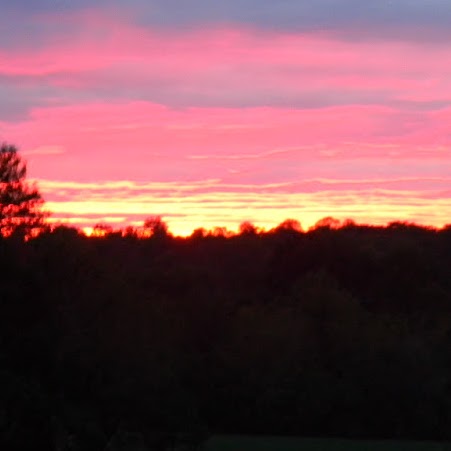 Lisa Goins Photo 44