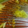 Charlie Blevins Photo 16