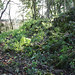 Edward Howe Photo 39